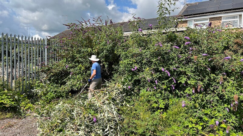 Alex with loppers clearing vegetation
